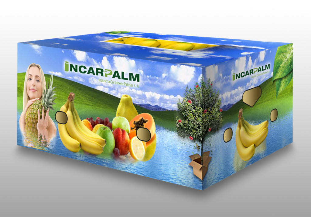 cajas cartón exportación banano