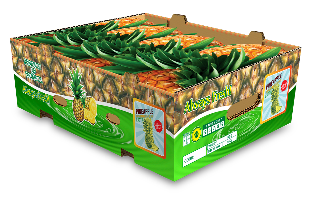 cajas para otras frutas