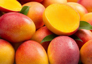 el mango en las exportaciones del Ecuador